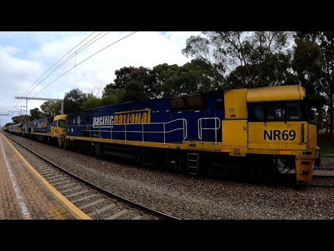 #1MP2 NR69 NR105 NR115