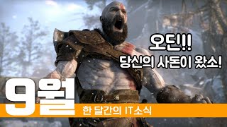 퀘이사존