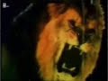 Shera Films 1998 RARE MORE EXTENDED VERSION