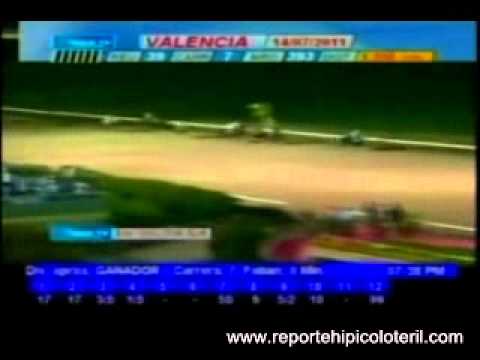 Resumen Jueves 14 de Julio de 2011 - Valencia