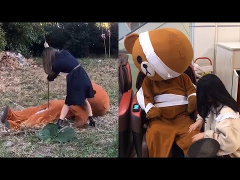 Lovely little bear everyday, TRY NOT TO LAUGH & Funny Pranks Compilation - 2019#68