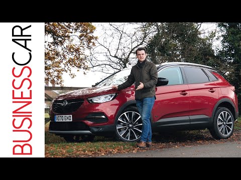 Vauxhall Grandland X Business Car Review