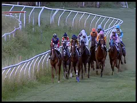 Galoppo 19/06/2020 - 6ª corsa