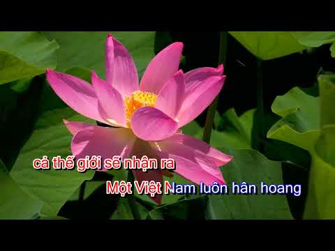 KARAOKE XINH TƯƠI VIỆT NAM   TONE NỮ V MUSIC