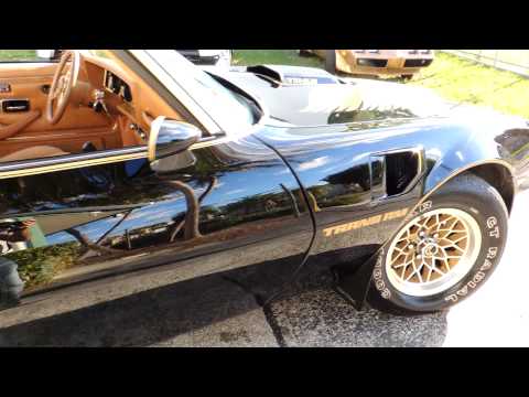 1979 trans am black beauty new arrival 7k original miles special performance