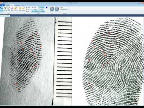 Fingerprint Charts
