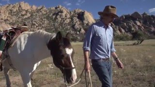 Giant Sand - Texting Feist [Official Music Video]