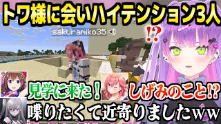 【ホロ鯖サマーパーク】トワ様の元を訪れた3人とのハイテンションな絡みまとめ「分かってるんよウチのキングは！」【ホロライブ 切り抜き/常闇トワ/さくらみこ/ときのそら/響咲リオナ/マイクラ】