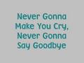 Ashley Tisdale - Never Gonna Give You Up 