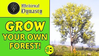 Medieval Dynasty How to Plant Trees