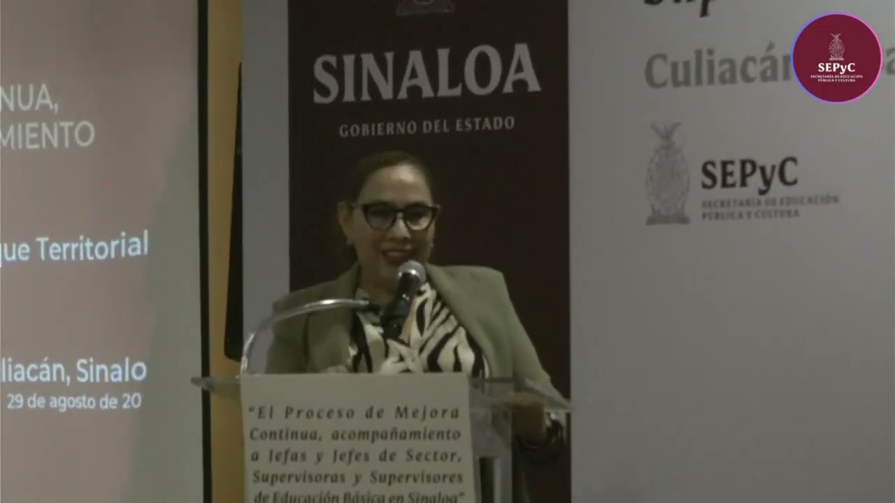 EL PROCESO DE LA MEJORA CONTINUA  LA IMPORTANCIA DEL ACOMPAÑAMIENTO