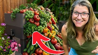 Why This Wicking Bed Produces CRAZY Amounts of Food!