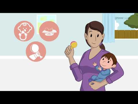 Curso de Promotor del Desarrollo Infantil 0