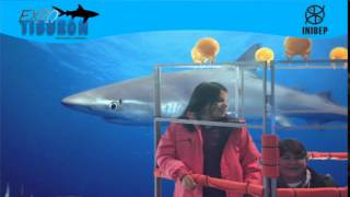 DIA 3 Expo Tiburon28