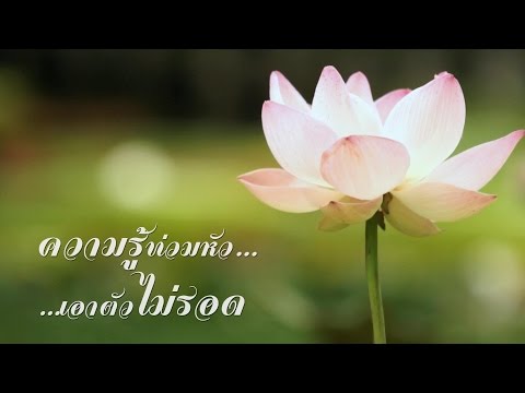 คลิกเพื่อดูคลิปวิดีโอ