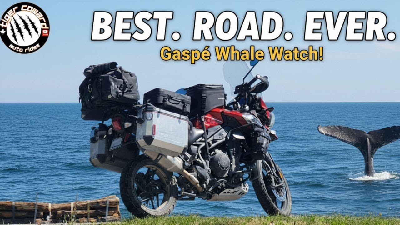 Gaspé Peninsula — Route 132 (Tour de la Gaspésie)