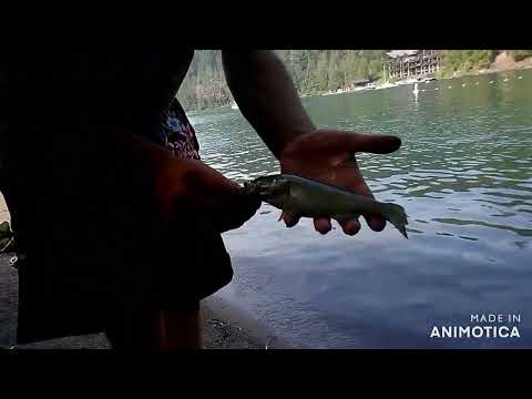 A Beautiful Day Fishing Cultus