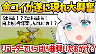 リコーダー演奏で盛り上がり中に突然金コイキングが現れ大興奮するフブさん【ポケットモンスターゴールドコイキング 白上フブキ ホロライブ】