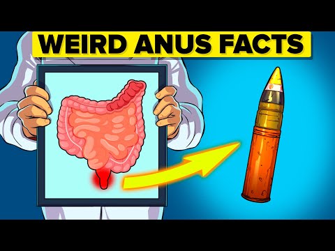 Weird Facts About the Anus