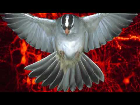 Raina Kabaivanska *RARE* - Tu che di gel sei cinta