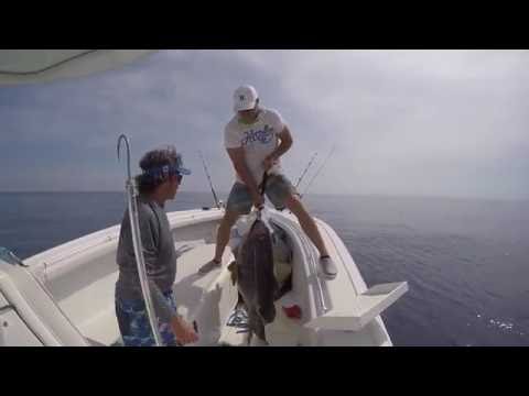 Crosthwait 2016 - Team Seaveeche Warsaw grouper, tuna sunset frenzy, swordfish