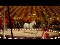 Budweiser Circus Love S0s