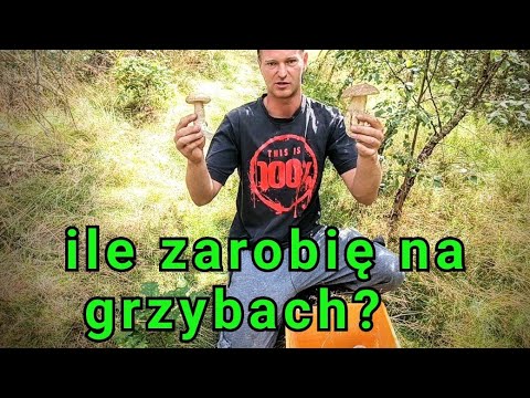 How much can I earn from mushroom picking? #adventure