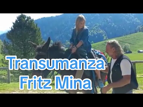 Transhumance herd by Fritz Mina MEIRE of VENIERE Frassino #vallevaraita #cuneo seen from the drone