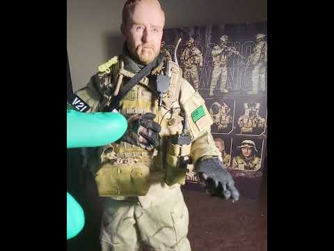 1/6 Scale Damtoys operation red wing Elite Series