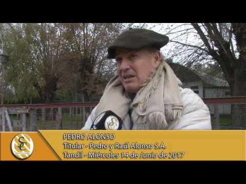 14-06-17 Nota Pedro Alonso - Pedro y Raul Alonso S.A. - Tandil