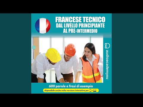 Capitolo 235 - Francese tecnico