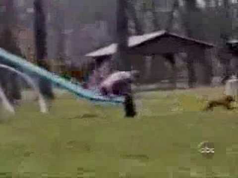 las mejores caidas de la red