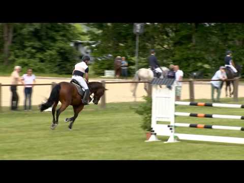 CASSUS GOLD 6j. v. Cassus - Stakkato Gold - VB 10.000,- Euro