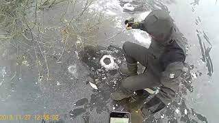 Платная рыбалка рязанская область рыбновский район