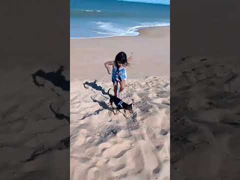 Levando meus cachorros na praia pela primeira vez.