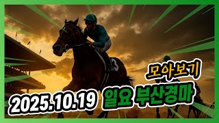 2025년 10월 19일 일요 부산경마  전체경주 모아보기