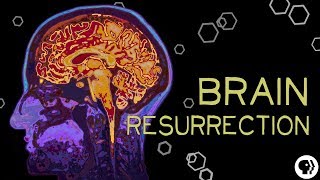 Ways to Bring the Brain Dead ‘Back to Life’