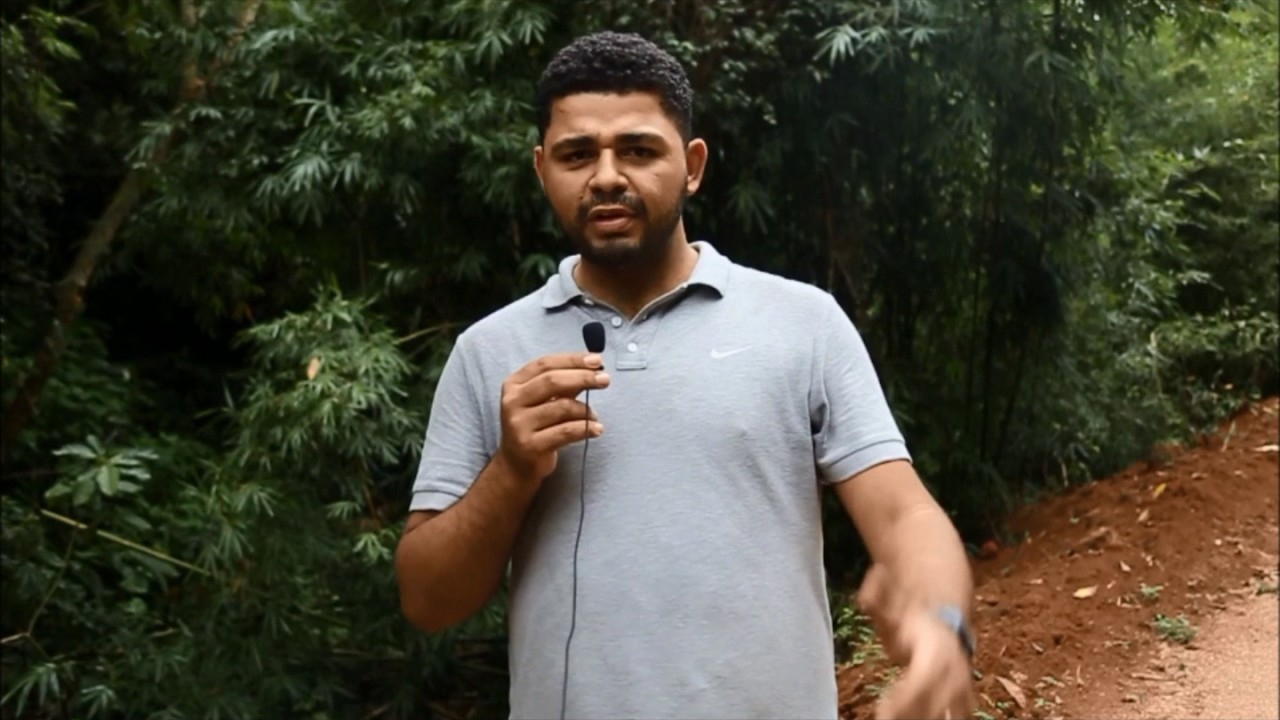 Pecuária e Impactos Ambientais