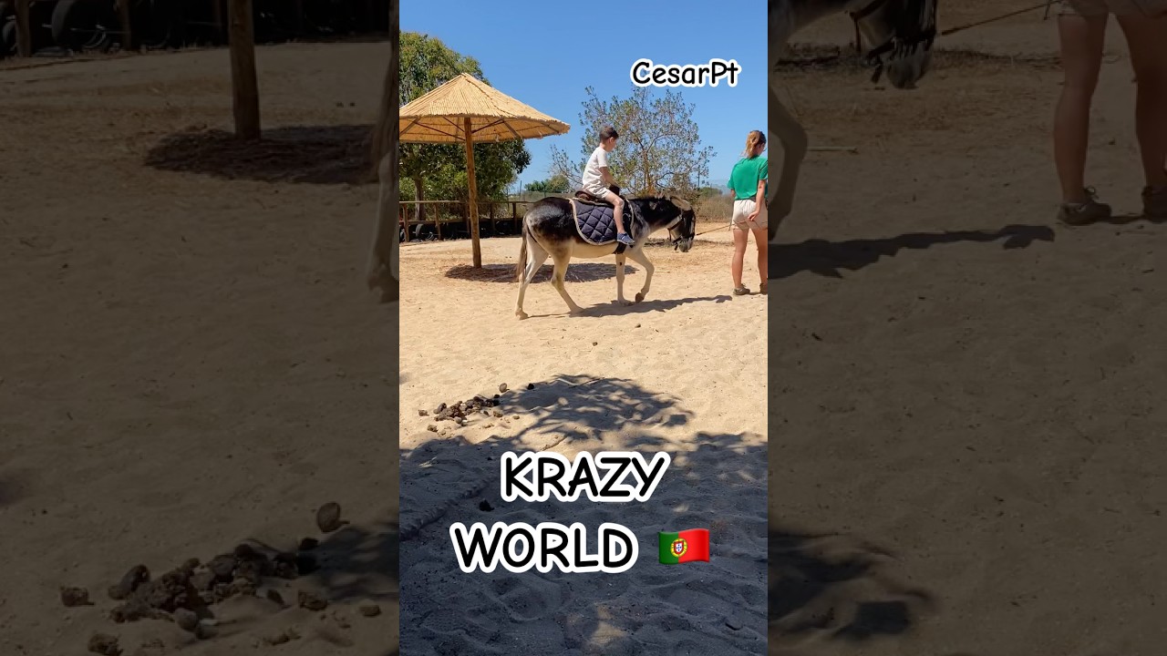 YouTube Short thumbnail