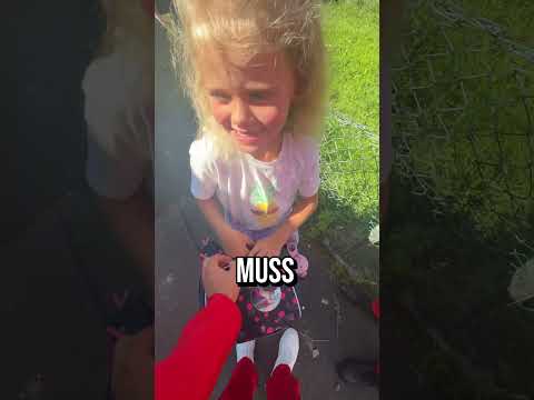 Der große Bruder Instinkt 😎 #shorts