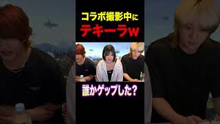 #ブリカワ #ブリとカワウソ #スマブラ #スマブラsp