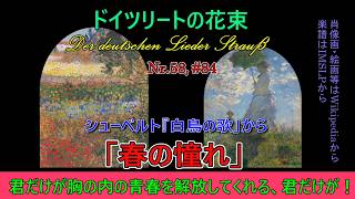 Download lagu 58, レルシュタープ「春の憧れ」（シューベルト）#84（260906） mp3