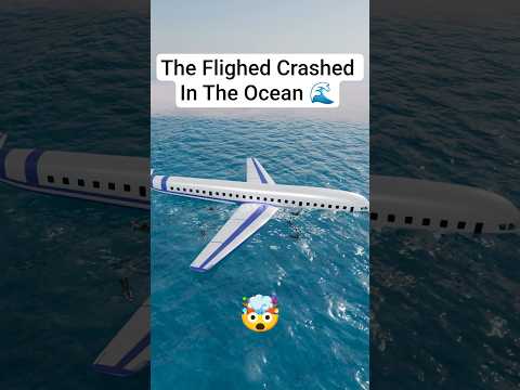 Flight 610: Final Descent 🌊