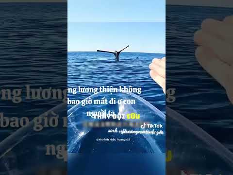 tình yêu không bao giờ tắc.