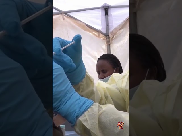 WHO Responds to Ebola Outbreak in DRC | 500 Suspected Cases