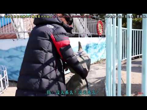 【UP10TION哈尼站】U10SECONDS 142sec - 恐龍先生在這種地方睡覺是不行的 中字