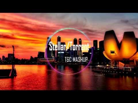 Stellar/Torrent - Daddy's Groove vs Martin Garrix (T&C Mashup)