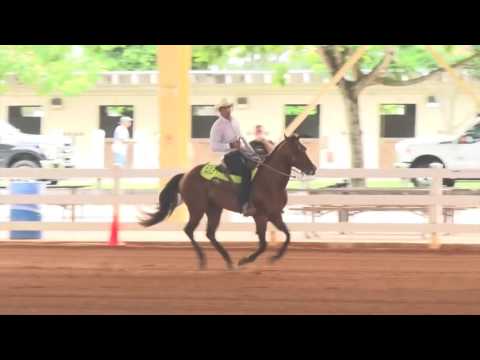 160814 Gabriel Boracchi on Mr Frank Gunner G1