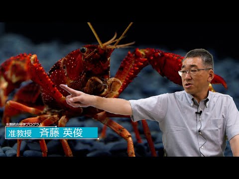広島大学生物生産学部　教授に聞く　斉藤 英俊 准教授