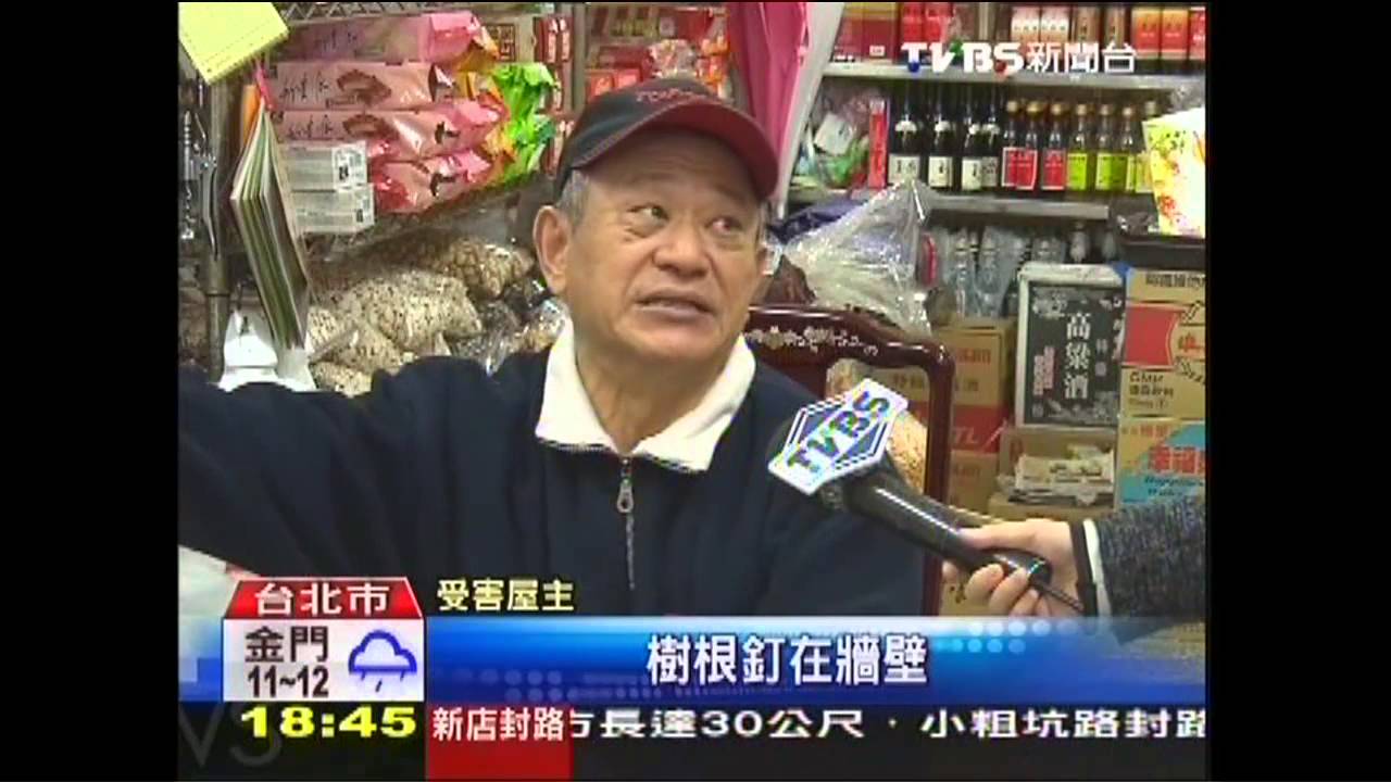 罕見！屋頂榕樹鑽破牆　鄰控害漏水
